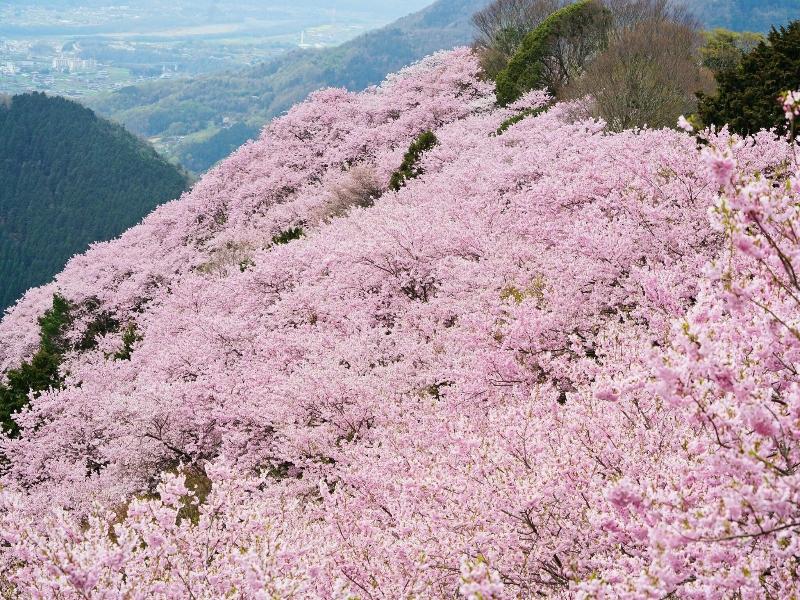 Paysage Moriguchi image