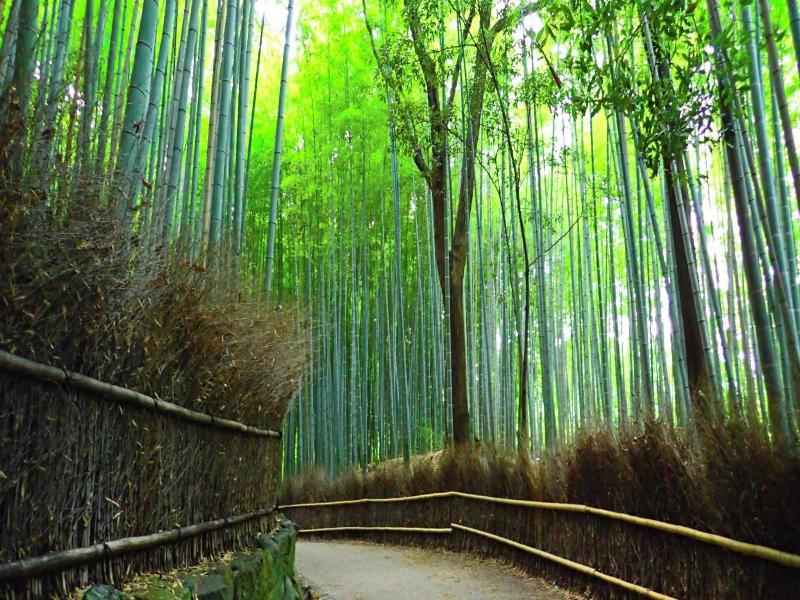 Rikyuan Kyoto Nishikyogoku image