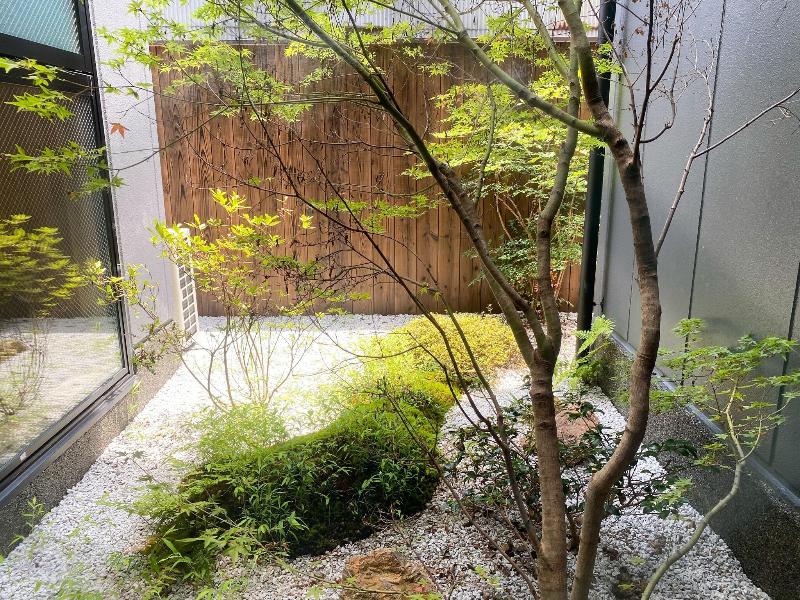 Rinn Niomon image