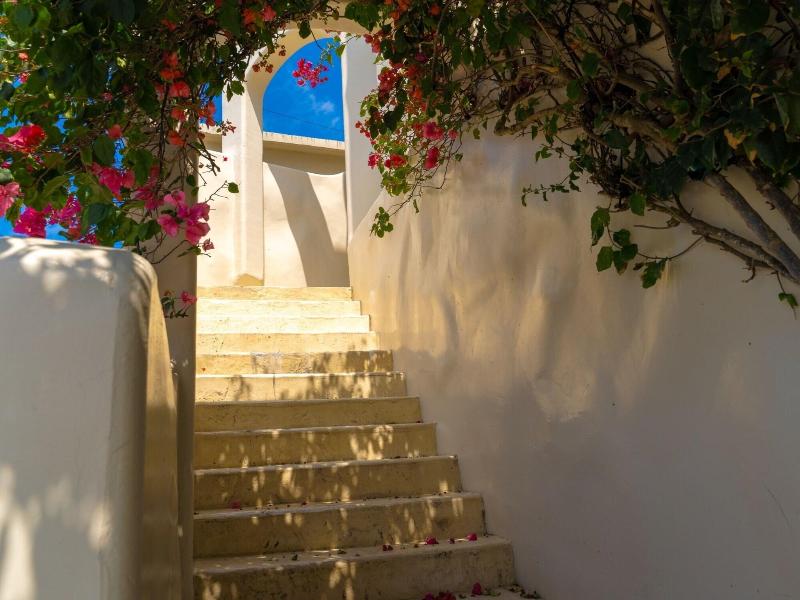 Yuki Suite Kourijima <kourijima> image