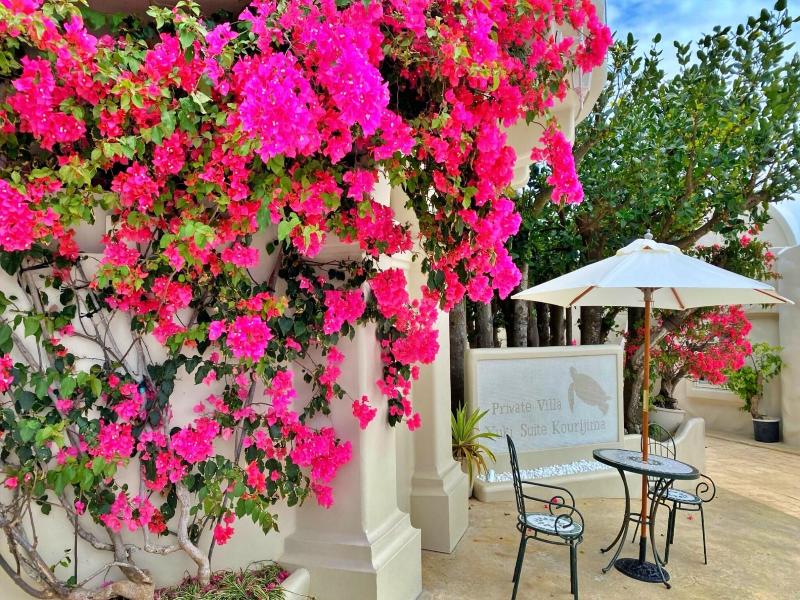 Yuki Suite Kourijima <kourijima> image