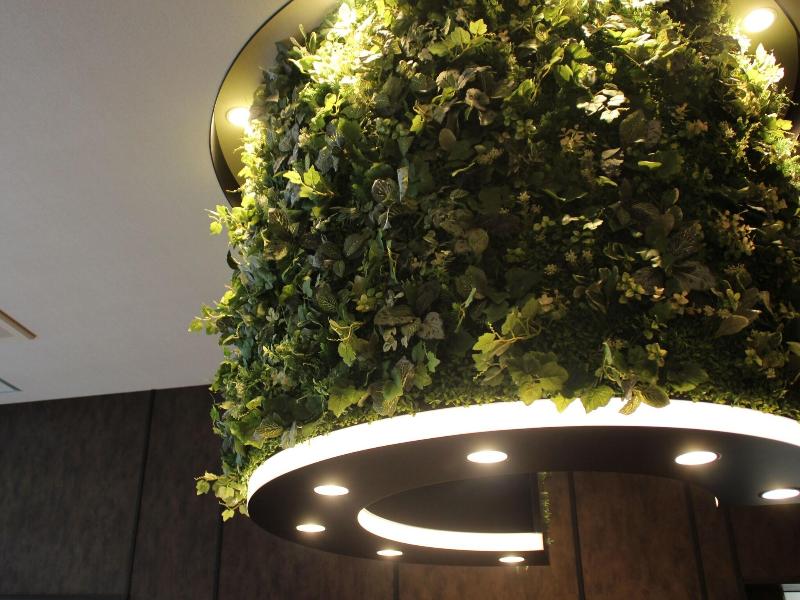 Hotel Halrotto Fukuoka Hakata image