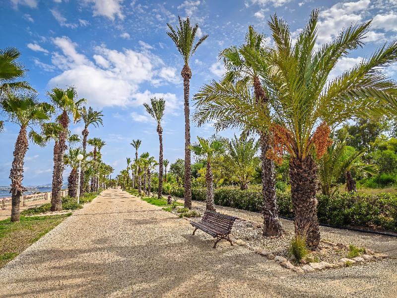 Occidental Mar Menor image