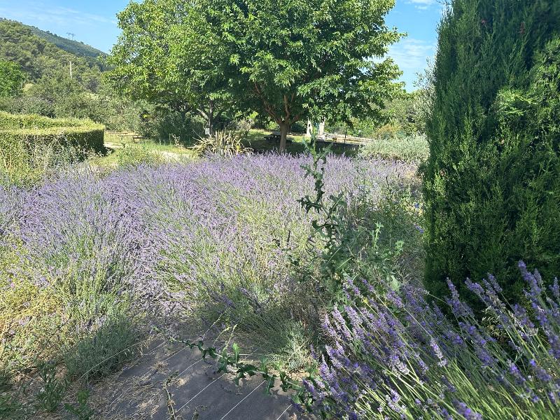 Logis Hotel Le Grand Puech 4