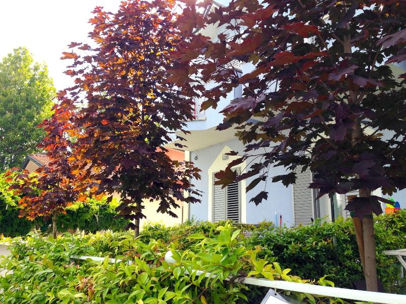 Residence Margherita image
