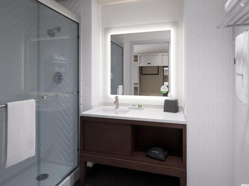 Holiday Inn Chicago Tinley Park image