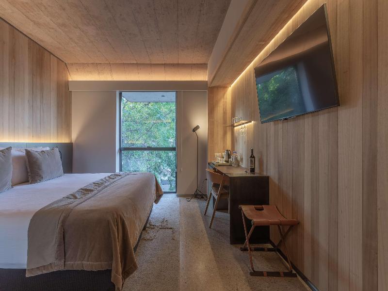 Hualta Hotel Mendoza, Curio Collection by Hilton image