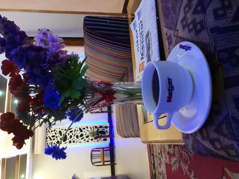 Nagar Valley Hotel image