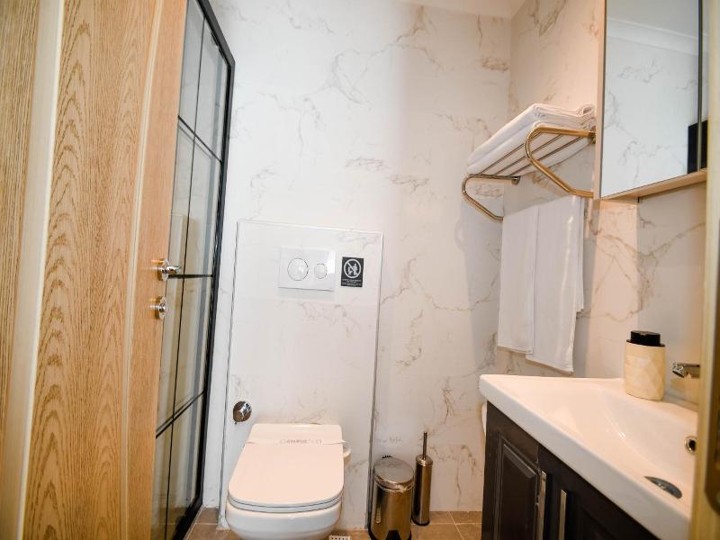 Swan Boutique Hotel image