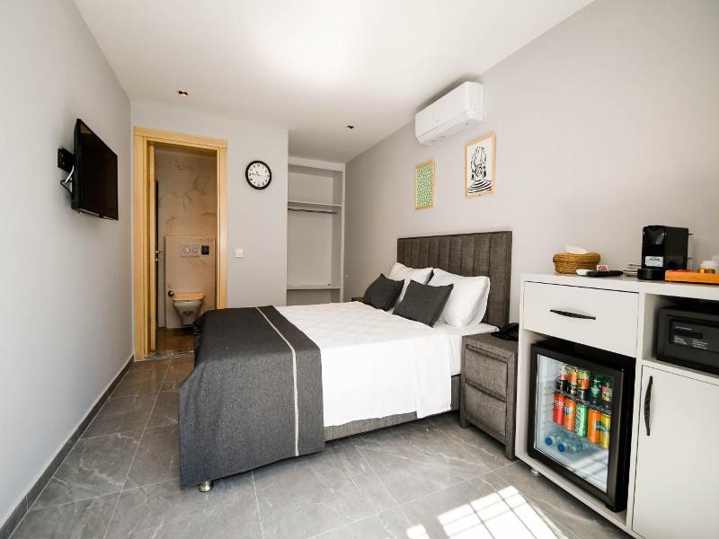 Swan Boutique Hotel image