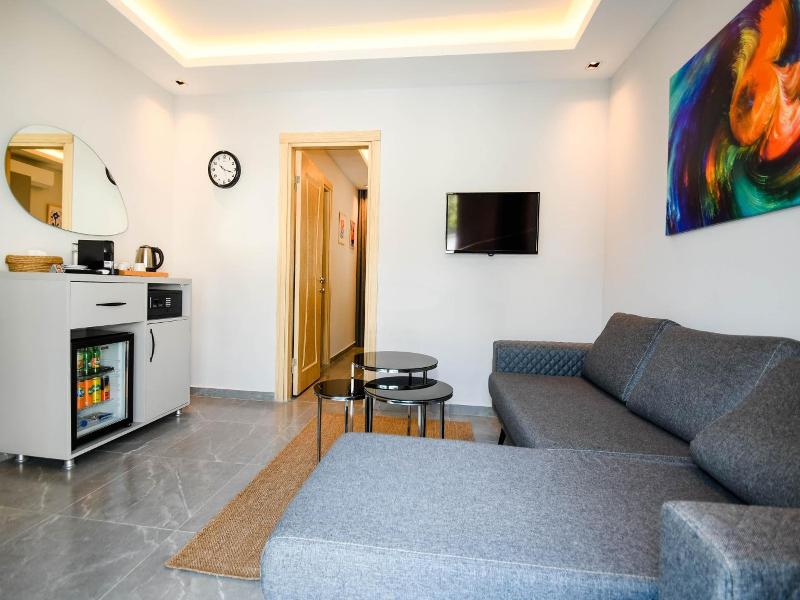 Swan Boutique Hotel image