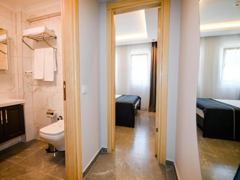Swan Boutique Hotel image