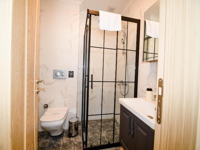 Swan Boutique Hotel image