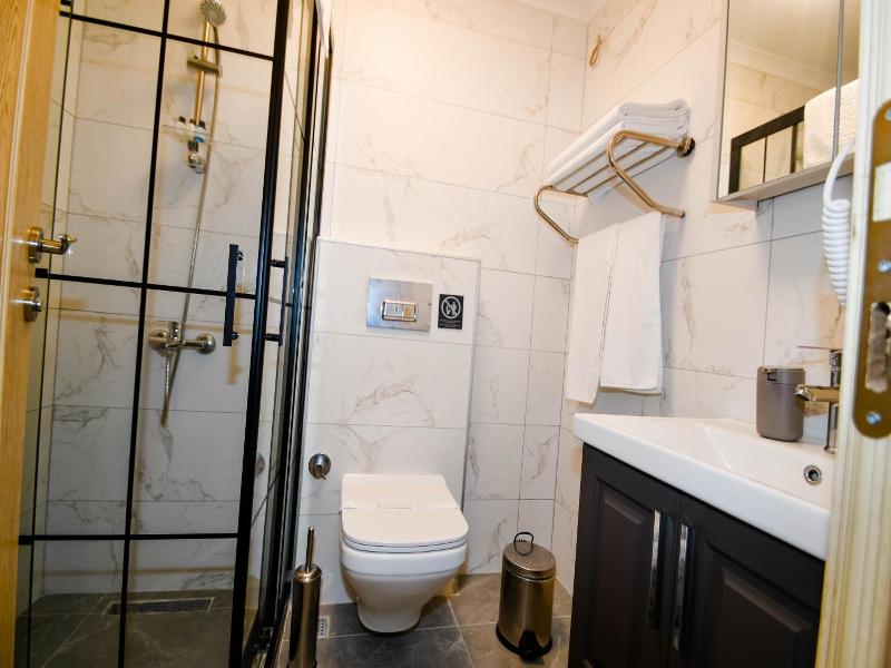 Swan Boutique Hotel image