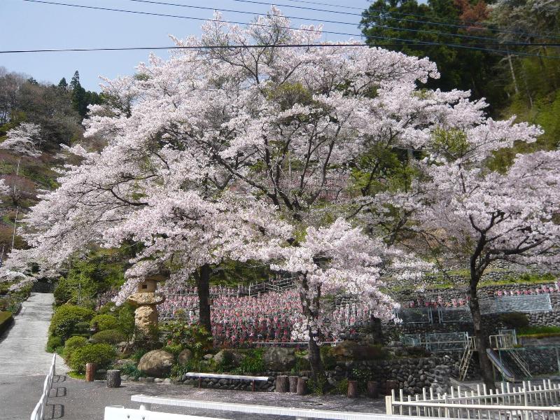 Echigoya Ryokan image