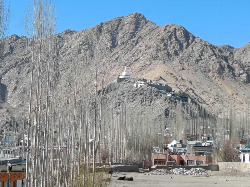 Hotel Malik Residency image