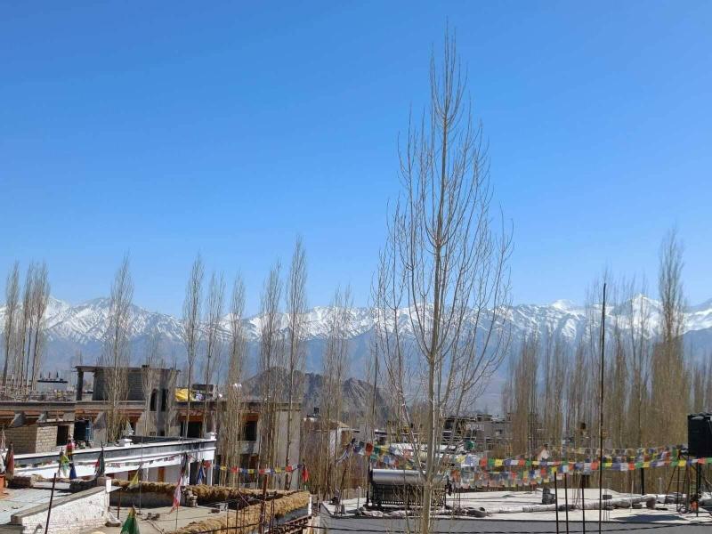 Hotel Malik Residency image