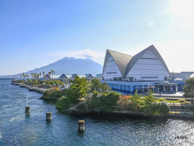 Daiwa Roynet Hotel Kagoshima Tenmonkan Premier image