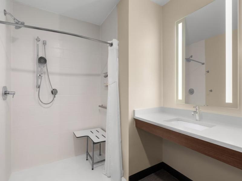 Holiday Inn & Suites Detroit - Troy image