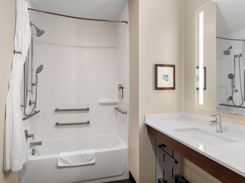Holiday Inn & Suites Detroit - Troy image