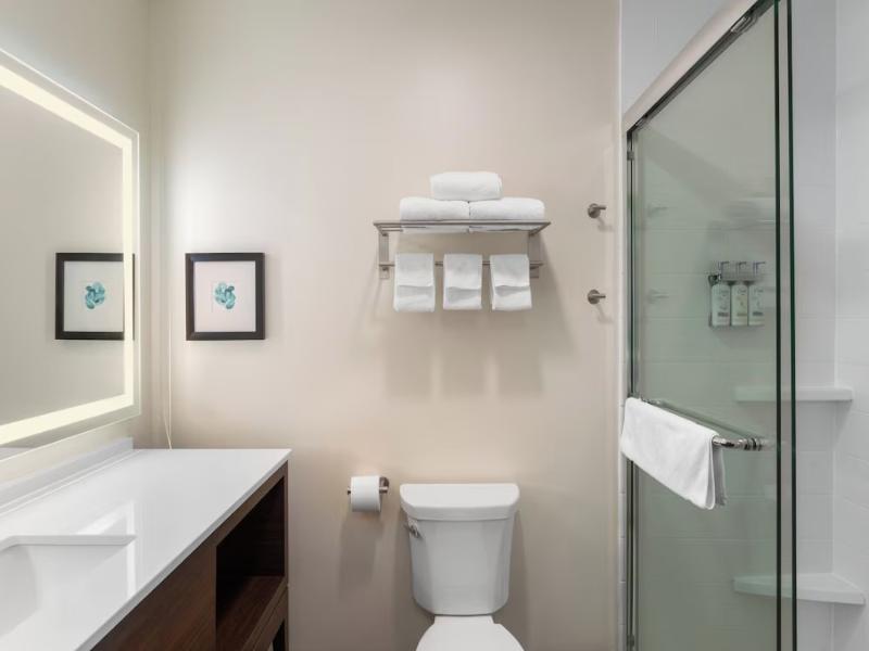 Holiday Inn & Suites Detroit - Troy image