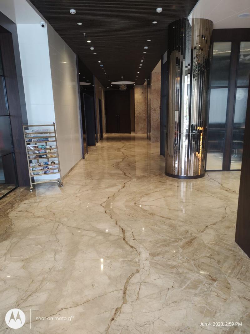 Hotel Vishal International image