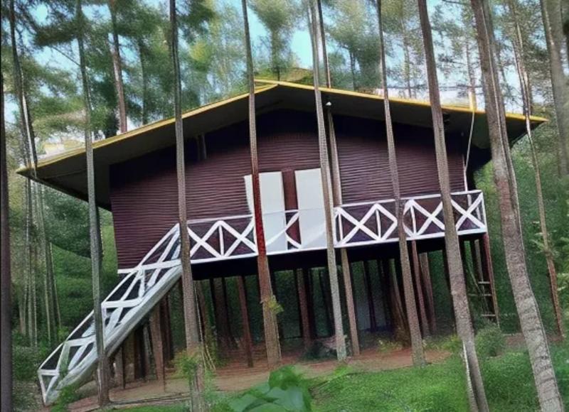 Deep Jungle Home 2