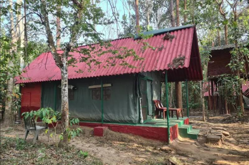 Deep Jungle Home 5