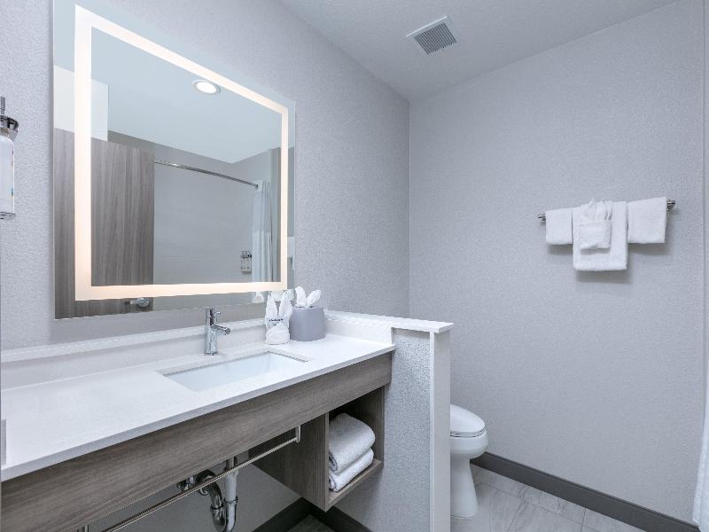 Holiday Inn Express & Suites Dallas Plano North image