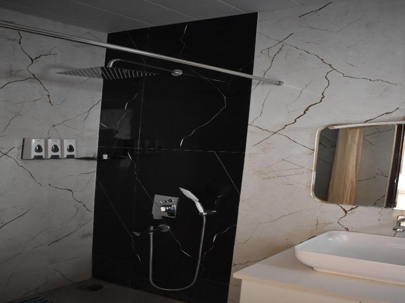 Hotel Le Halcyon Kasau image