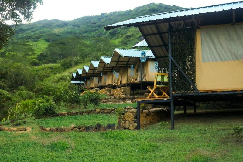 Wild Glamping Knuckles - Thema Collection image 10