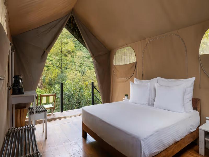 Wild Glamping Knuckles - Thema Collection image 5