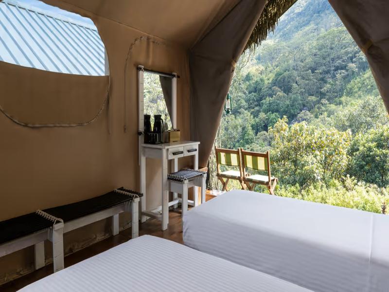 Wild Glamping Knuckles - Thema Collection image 6