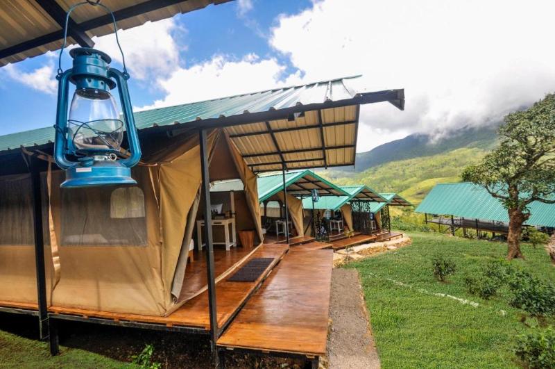 Wild Glamping Knuckles - Thema Collection image 7