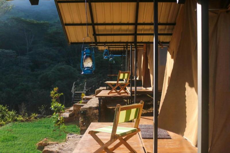 Wild Glamping Knuckles - Thema Collection image 8