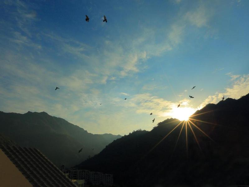 Hotel  Vedas image