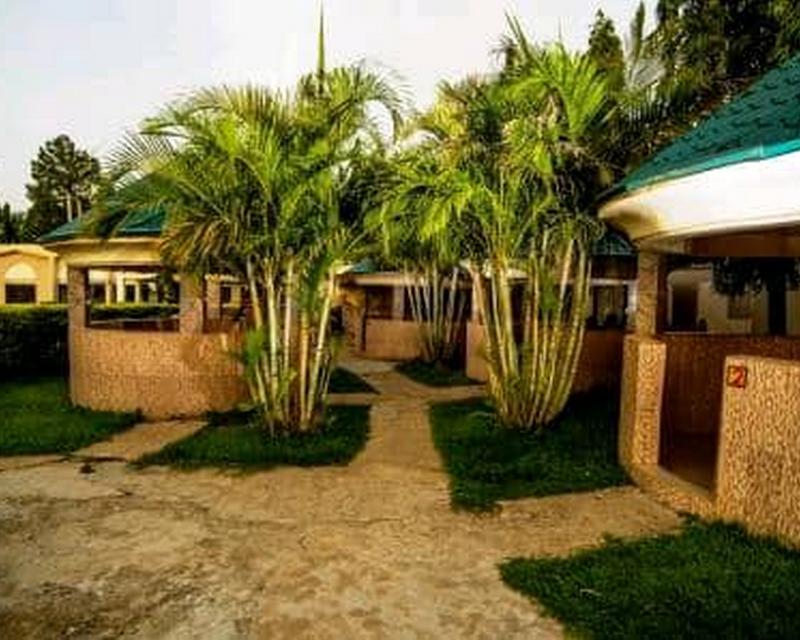 Zecool Hotels Limited — general view