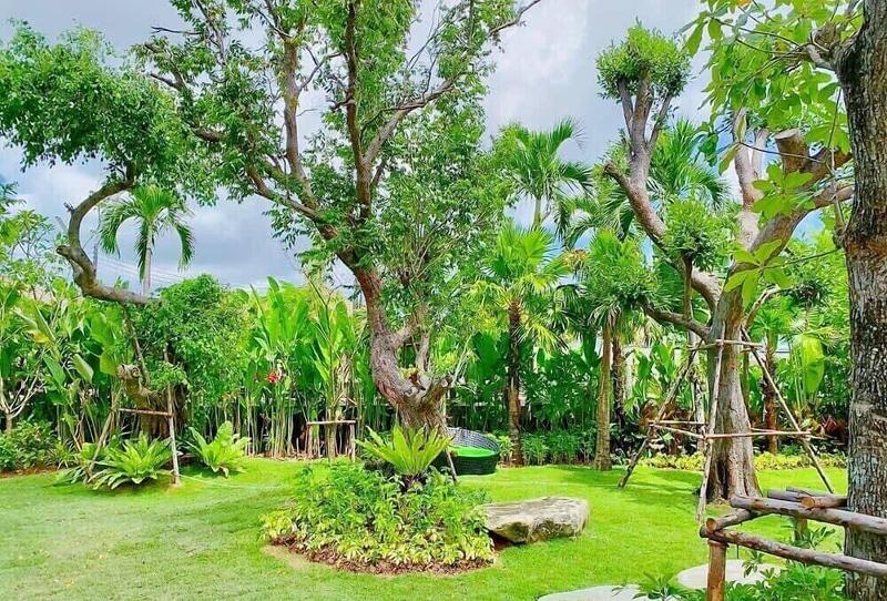 Coco Paradiso Phuket SHA+ image