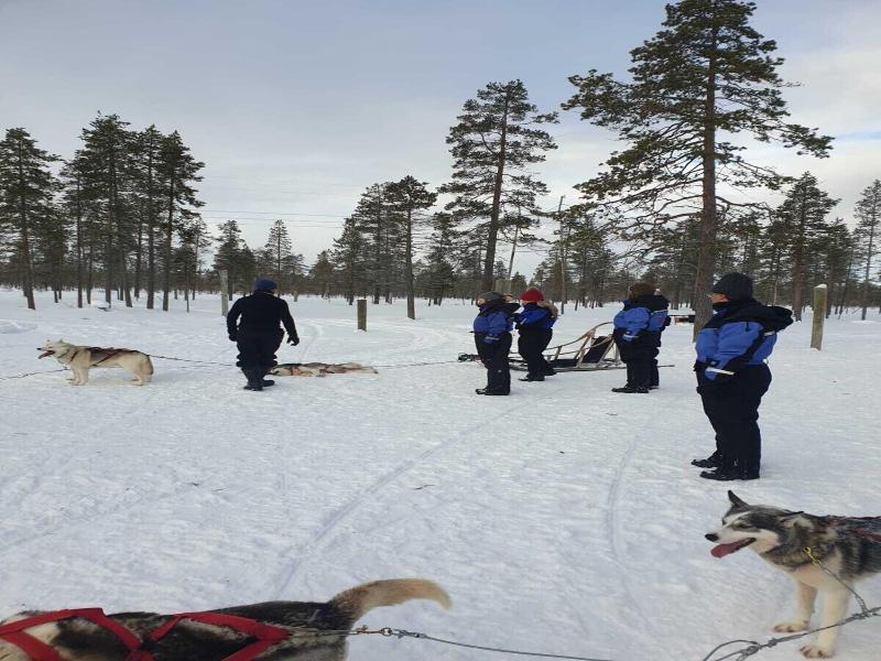 Arcticmagic