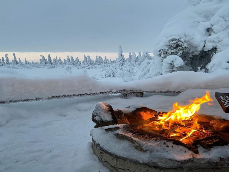 Arcticmagic