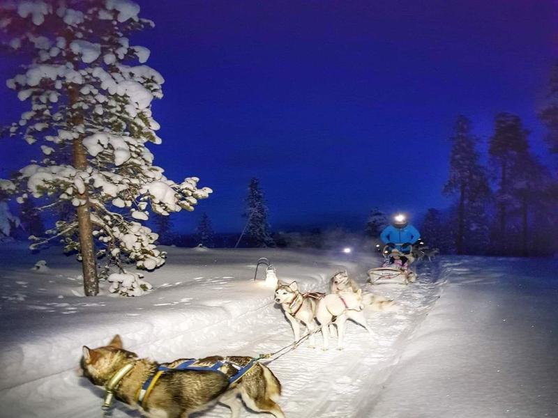 Arcticmagic