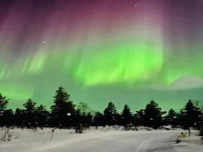Arcticmagic