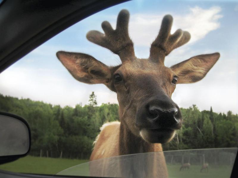 Parc Omega
