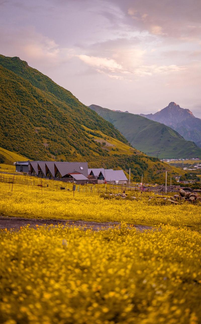Step Inn Kazbegi image