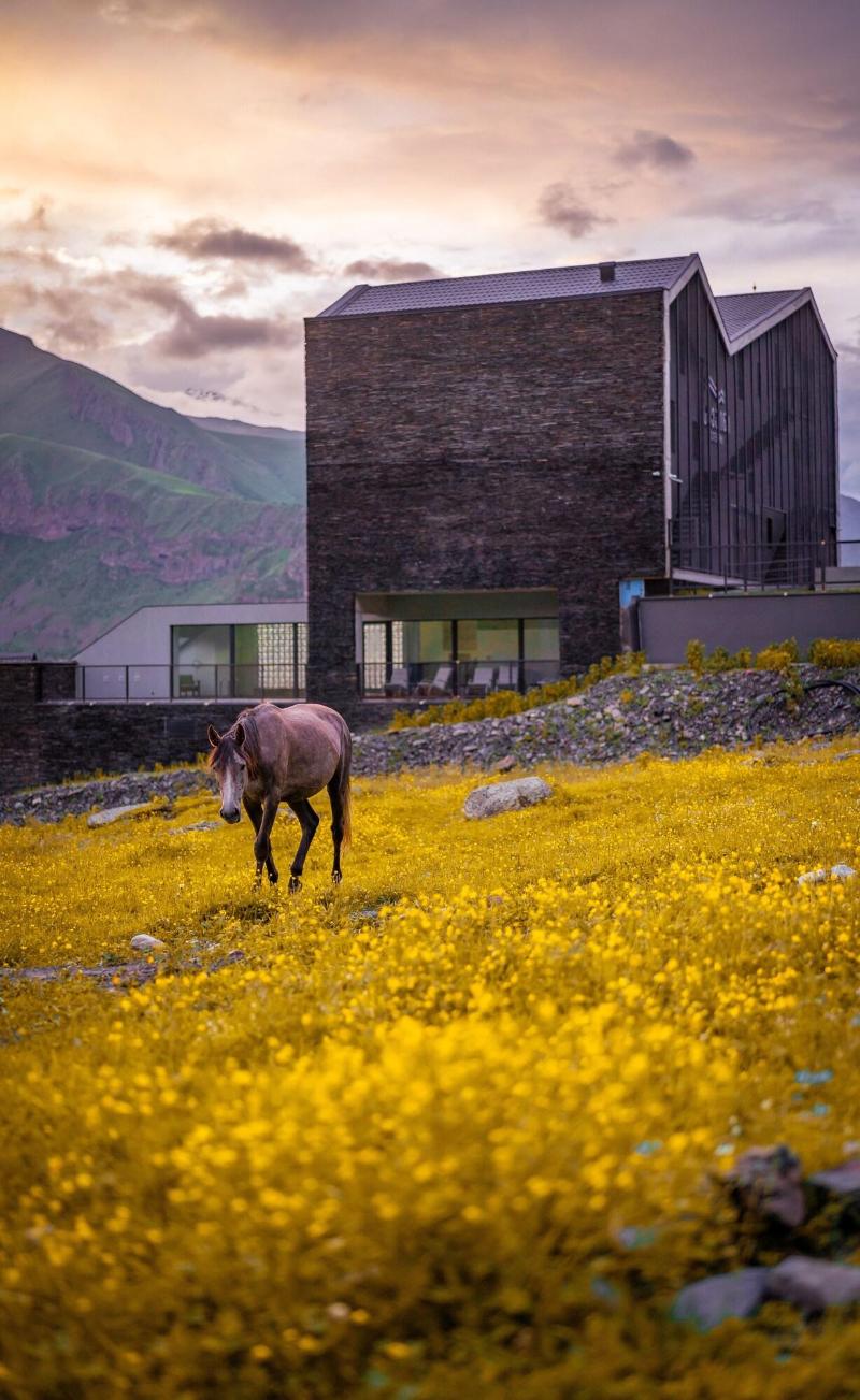 Step Inn Kazbegi image