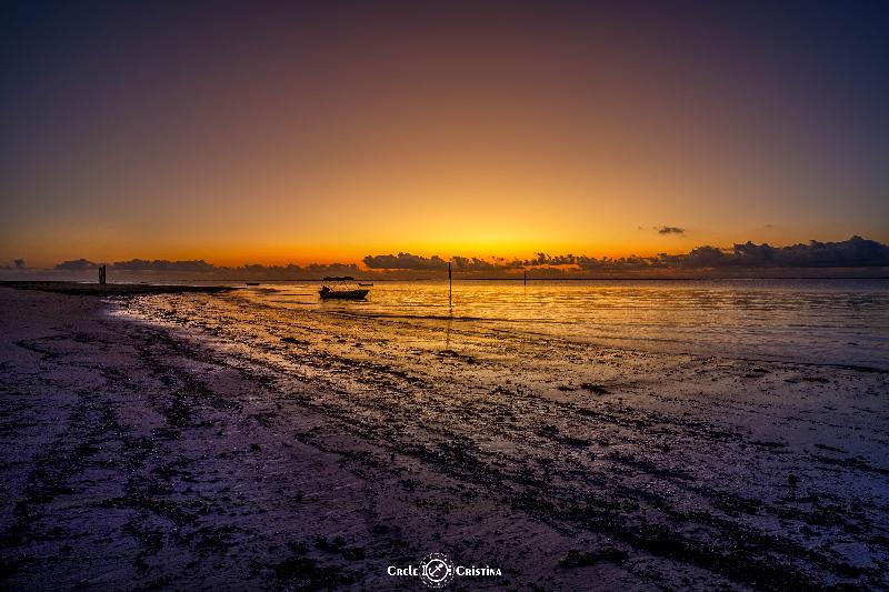 Pousada Beach Bahia image