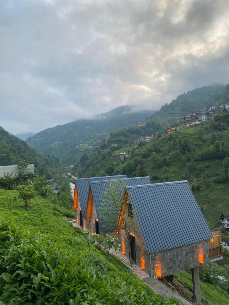 Berva Bungalow image