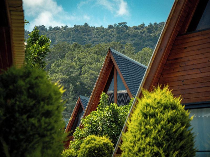 Karaöz Sapphire Bungalows — photo 257