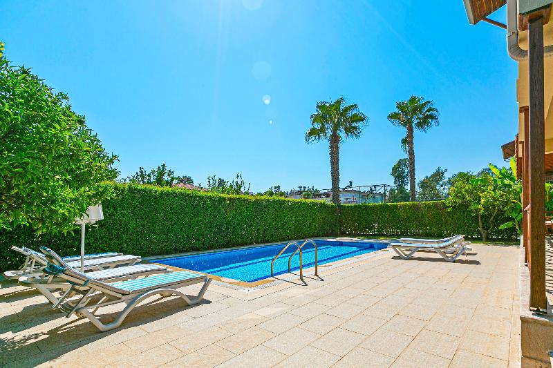 Paradise Town Villa Orchard