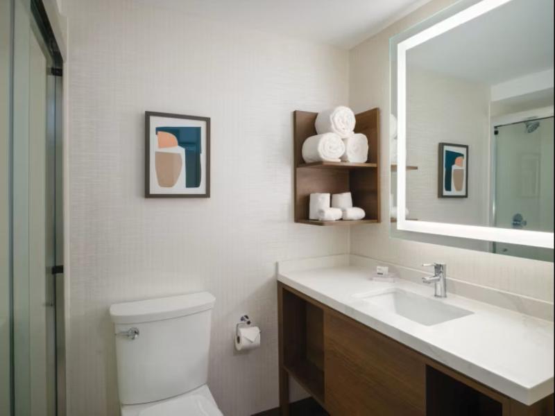 Holiday Inn Chicago O'Hare - Rosemont - Image 9